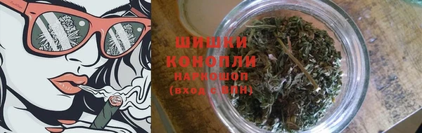 сатива Балахна