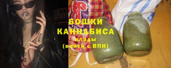 сатива Балахна