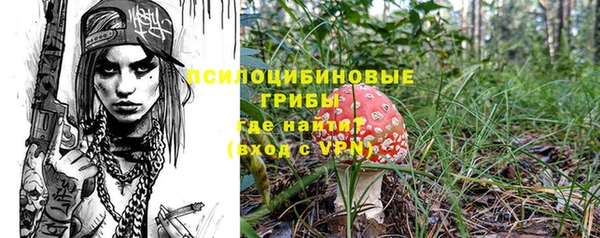 ALPHA-PVP Белокуриха