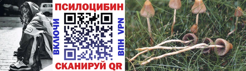 купить наркотики сайты  Кушва  MEGA ссылки  Галлюциногенные грибы прущие грибы 